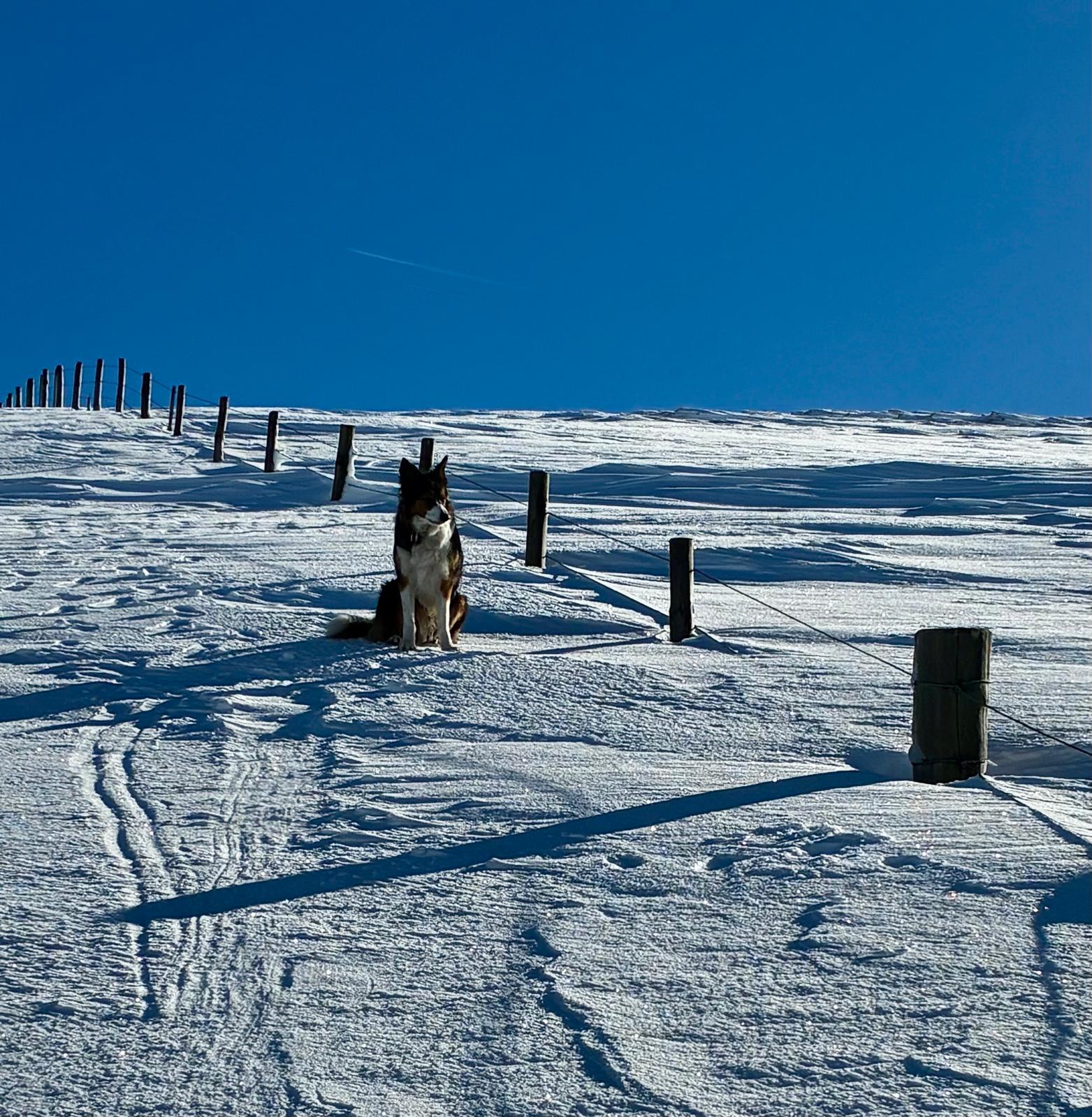 BSARU March 2026 Update